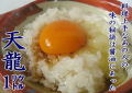 �ޤ��䤫�ʴŸ����礦�桡ŷζ����åȥ�