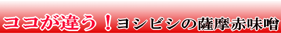 ココが違う！ヨシビシの赤味噌