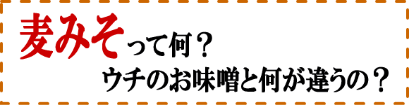 麦みそって何？うちのお味噌と何が違うの？