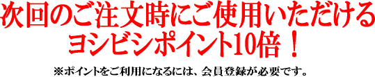 ヨシビシポイント10倍