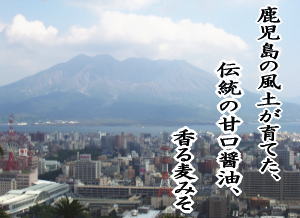 鹿児島の風土が育てた伝統の甘口醤油